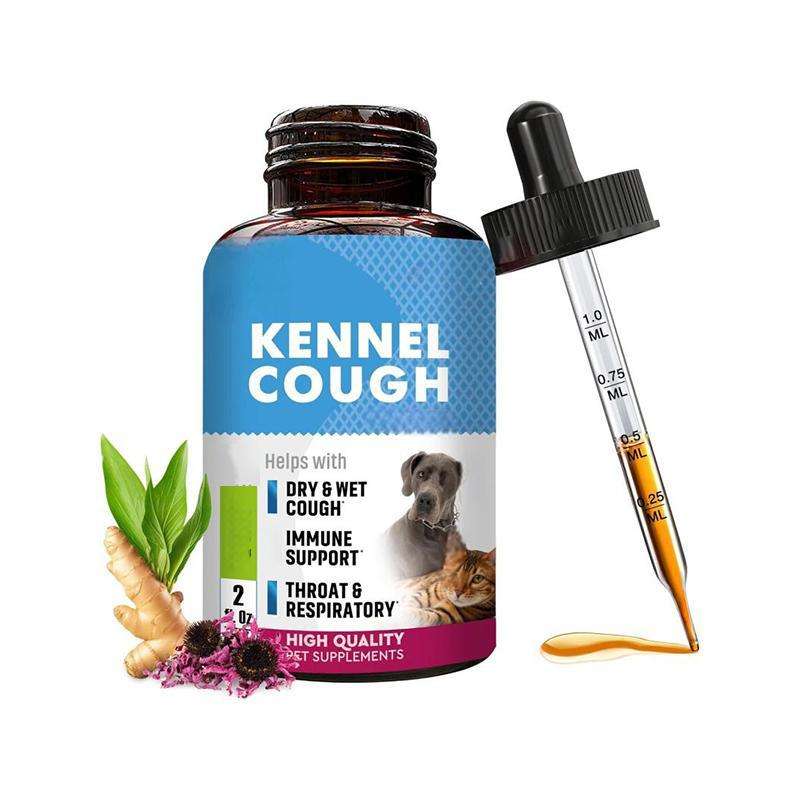 ไอ4สุนัข