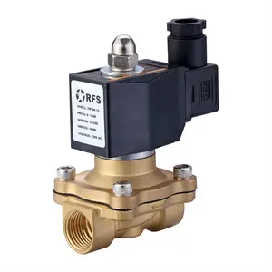 RFS 2W series 3/8-2 inch brass electric gas normally closed solenoid control valve DC12V 24V