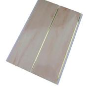 Panel de PVC Moderno con Rejilla, Resistente al Fuego, Impermeable y a la Humedad, para Baño, Cocina, Hospital, Hotel, Hogar, Sala de Estar