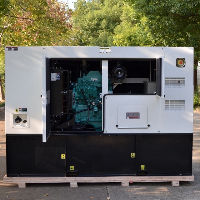 60hz Home Standby Generator Silent Noiseless 60 kw Single Phase Generator with 100 gal Fuel tank and ATS