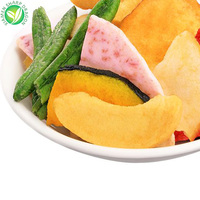 SHARP DRAGON Chips de Vegetales Mixtos y Champiñones |   Suministro a Granel de Snacks Crujientes para Compradores Globales de Marcas de Alimentos