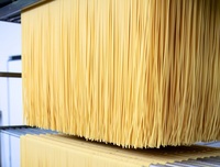 Spaghetti 500 g GVERDI Sélection Pâtes de Semoule de Blé Dur Italiennes GVERDI Aliment Italien Fabriqué en Italie