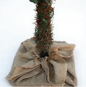 Árbol <span class=keywords><strong>de</strong></span> Navidad Artificial Realista <span class=keywords><strong>de</strong></span> Alta Calidad, Tipo Abeto Fraser, Base <span class=keywords><strong>de</strong></span> Tela Tejida, Piñas, Luces LED Blancas Cálidas para el Hogar - Product Image 3