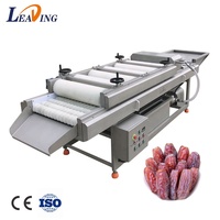 Sdleading Automatische Borsteltype Dadels Fruit Polijstmachine Wassen