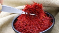 Bunga Saffron Murni Berkualitas Tinggi Grosir, Umbi Super Negin Premium, Saffron Merah