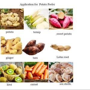 Éplucheuse de pommes de terre commerciale / Machine à éplucher les légumes / Laveuse et éplucheuse de pommes de terre pour l'industrie agroalimentaire - Product Image 5