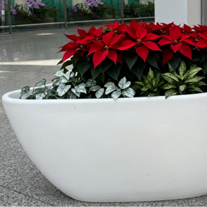 Jardinières en FRP blanches irrégulières - Pots à fleurs robustes en résine et <span class=keywords><strong>fibre</strong></span> <span class=keywords><strong>de</strong></span> <span class=keywords><strong>verre</strong></span> pour la décoration commerciale et domestique - Product Image 2