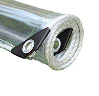 Bâche en PVC transparent ESHINE ESPVC450 pour jardin et extérieur, imperméable, style tissé, service de découpe/moulage