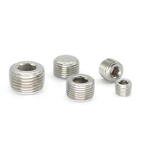 Bouchon en acier inoxydable ss304 raccord BSPT / BSPP / NPT filetage mâle 304 embout hexagonal en acier inoxydable prise hexagonale intérieure