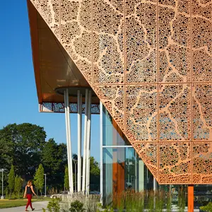 Декоративный металлический лист, перфорированные фасады, коммерческая облицовка стен для строительства, алюминиевая панель забора