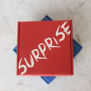 benutzerdefinierte biologisch abbaubare papier-versandverpackung geschenkbox luxus-versandtasche wellpappe-verpackung pappe-boxen für kleidungsverpackung - Product Image 3