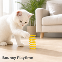 Jouets à mâcher pour chats et chiens, balles durables en plastique écologique, modernes, pour la chasse en intérieur, ressorts colorés