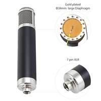 Microphone à condensateur à tube à large diaphragme professionnel TM147 34 mm, équipement d'enregistrement en studio