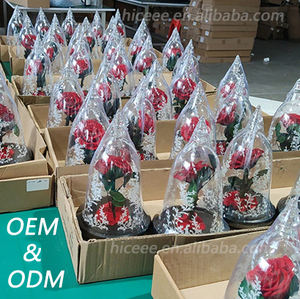 Type classique Rose beauté <span class=keywords><strong>Rosa</strong></span> <span class=keywords><strong>Bella</strong></span> E Bestia cadeau de la Saint-Valentin Rose éternelle dans un dôme en verre préservé Rose beauté et la bête - Product Image 6