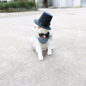 Pet Chapéu Topo Gato Cachorro Gravata Aniversário Festa Acessórios Do Casamento Pet Halloween Party Supplies - Product Image 6
