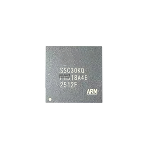 SSC30KQ Pacchetto QFN128 Processore di Segnale Immagine Avanzato RISC Dual Core a 32 bit ISP per <span class=keywords><strong>Videosorveglianza</strong></span>, Chip SoC - Product Image 1