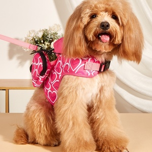 MIDEPET Nuevo Arnés para Perros Freedom Sin Tirones, Arnés para Mascotas con Capucha de Invierno, Lindo Estampado de Corazón, Correa de Nailon para Perros, Bolsa para Excrementos, para Perros y Gatos - Product Image 1