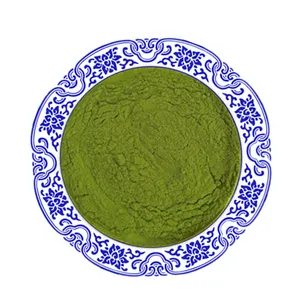 优质叶绿素叶提取物纯98% 纯叶绿素粉