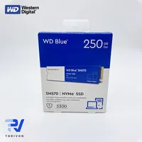 WESTERN DIGITAL WD BLUE SN570 250GB GO NVME SSD