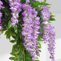 Fleurs artificielles de glycine violette, guirlande de plafond, décoration intérieure suspendue pour mariage et maison