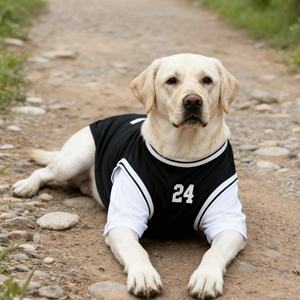 Maillot de basket-ball pour chien de grande taille, imprimé numéro 23, faux deux pièces, printemps été, vêtements pour chien, grand <span class=keywords><strong>golden</strong></span> retriever, <span class=keywords><strong>labrador</strong></span> - Product Image 4