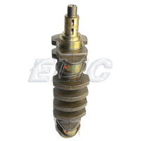 Excavator Crank Shaft L3E S3L K4N 4D31 6D17 6DR5 S4S S6R2 4M51 S4L 6D22 8DC9 4D35 Engine Crankshaft for Mitsubishi Replacement