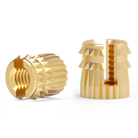 Knurled Press in Threaded Insert Brass Nuts for 3D Printed Housing Supplier