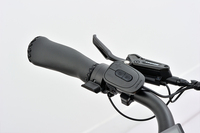 Tricycle électrique à moteur central 48V 250W pour adultes, batterie lithium 15Ah, pneus 20"X4.0", modèle cargo avec sac isotherme, fabriqué en Chine