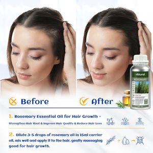 Natural Organic Rosemary Essential Oil Hair Growth Serum Hair <strong>Regeneration</strong> Treatment <strong>Scalp</strong> Care Massage <strong>Scalp</strong> Hair Care Oil - Product Image 3