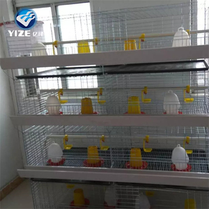 Gà đẻ trứng Lồng/tre gà <span class=keywords><strong>Coop</strong></span> Chick lồng - Product Image 5