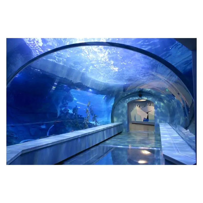 Best Selling Factory Customized Underwater Acrylic Glass Tunnel Aquariums Outdoor Underwater Tunnel With Acrylic Glass Acrylic E