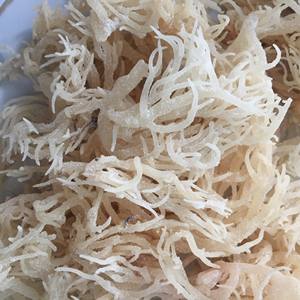 สาหร่ายคอตตอน2อบแห้งจากทะเลมอส0084817092069 WS 99ข้อมูลทองคำ - Product Image 4