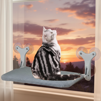 Lit de fenêtre pour chat, hamac à ventouses, perchoir pour chat, lit suspendu pour chat pour bronzer et se reposer