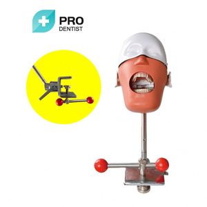 Nieuwe Aankomst Tandmodel Tanden Model Implantaat - Product Image 3