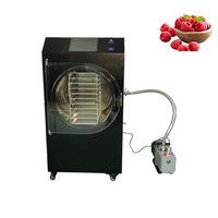 Machine de lyophilisation en acier inoxydable pour usage domestique, équipement de lyophilisation sous vide pour poudre de café, viande et lait