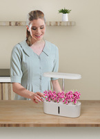 Équipement de culture hors sol, système de culture hydroponique intelligent pour la maison, pots à légumes, boîtes de culture pour plantes/fleurs, haute rigidité 3