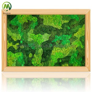 Su misura pareti di muschio artificiale pannello naturale <span class=keywords><strong>verde</strong></span> parete artificiale preservata sfondo decorazione per la vera parete di muschio arte fatta a mano - Product Image 5