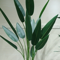 Faux Bonsaï 220cm Arbre Artificiel Paradis d'Oiseau pour Hôtel Restaurants Bureau Décoratif À La Maison Plantes Artificielles Feuille De Bananier Décor À La Maison Plante