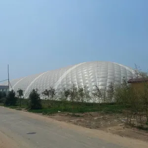 多跨地膜水培系统温室种植番茄和草莓