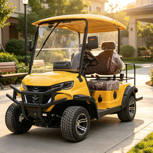 Voiturette de golf électrique 2 places OEM avec pare-soleil pour les journées ensoleillées - Product Image 1
