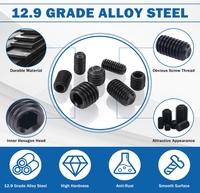 Vis à tête hexagonale DIN916 en acier allié classe 12.9, vis à tête hexagonale interne M3 M4 M6 M8 M12, vis de serrage 8.8