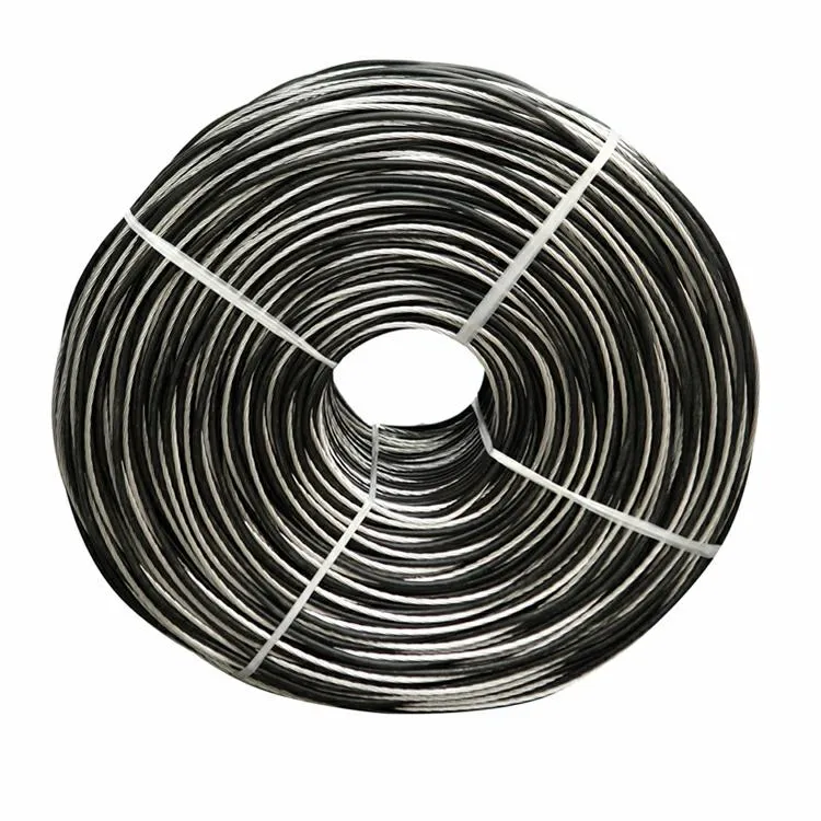 Câble ABC 600/1000V 2*13.3mm2 câble de dérivation de Service Duplex torsadé en fil d'aluminium #6 AWG