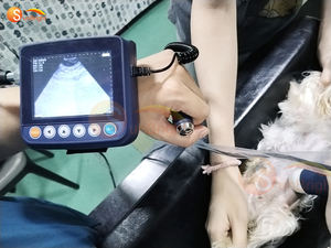 Mesin USG Genggam untuk Diagnosa Kebuntingan Hewan, Mesin <span class=keywords><strong>Ultrasound</strong></span> Babi - Product Image 3