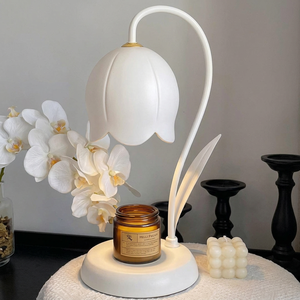 Traditional Metal Desk Lamp With Glass Shade Warm White <b>Light</b> 2700K For <b>Bedroom</b> AC 220V - Product Image 1