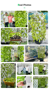 Systèmes <span class=keywords><strong>de</strong></span> <span class=keywords><strong>culture</strong></span> hydroponique et aéroponique pour la maison : <span class=keywords><strong>Tour</strong></span> hydroponique pour ananas et fraises - Product Image 4