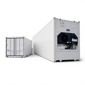 Conteneurs Réfrigérés Reefer 40 Pieds Capacité 5000kg Prix - Product Image 1