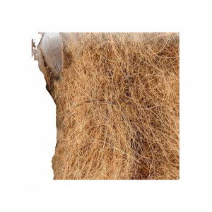 Fibre de noix de coco naturelle de haute qualité pour matelas brosses cordes tapis de culture paillis fibre de coco vente en gros de l'Inde - Product Image 1