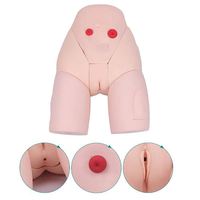 Modelo de entrenamiento de Enfermería de cateterismo de orina femenino KyrenMed, modelo de simulador uretral, modelo anatómico humano, simulador de maniquí