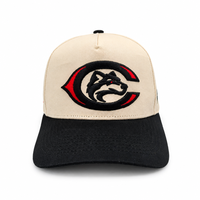 Casquette de baseball structurée unisexe à 5 panneaux, brodée, style A-Frame, bicolore crème et noir, avec lettres universitaires, motif mascotte Husky