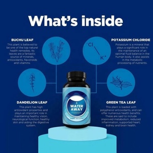 Capsules diurétiques au thé <span class=keywords><strong>vert</strong></span> Nutrivoice JQ30 en gros pour adultes, nettoyage du côlon, détoxification, brûlage des graisses, compléments alimentaires à base de plantes pour la perte de poids - Product Image 3